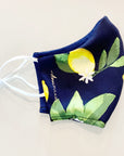 Non-Medical Grade Cotton/Bamboo Masks - Printed