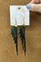 Parrot Earrings - Evergreen