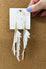 Parrot Earrings - White
