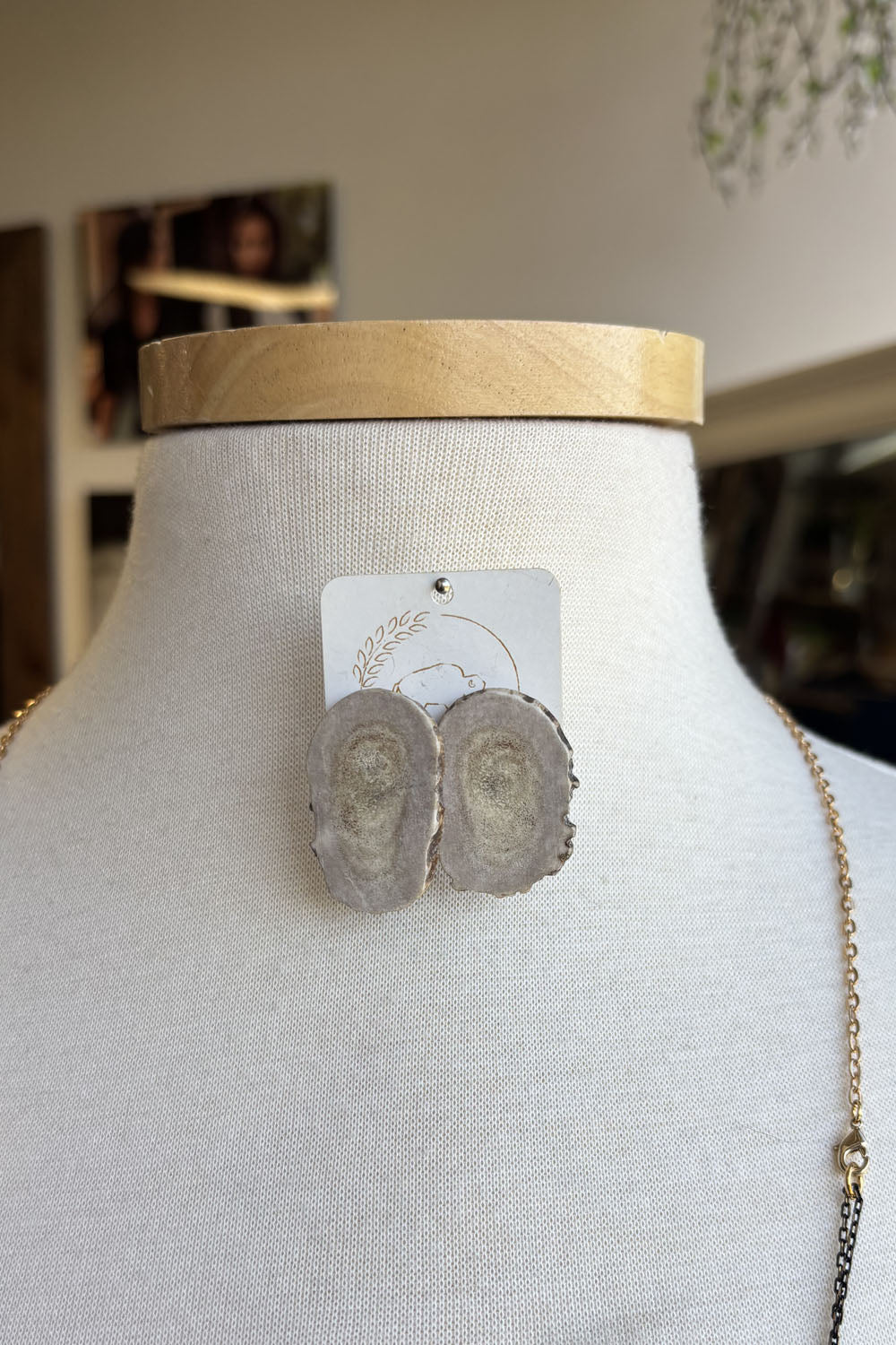 Sheppards Hook - Antler Stud Earrings - 224