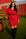 SOLEIL Sustainable Dress